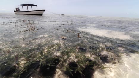 Boat-at-low-tide-with-water-moving-&-plant-life