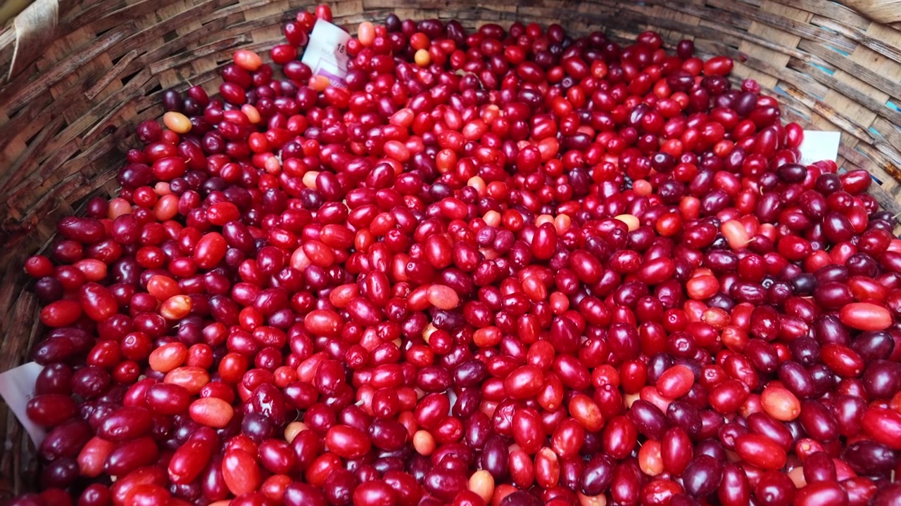 Frische rote Kornelkirschen in einem geflochtenen Korb.