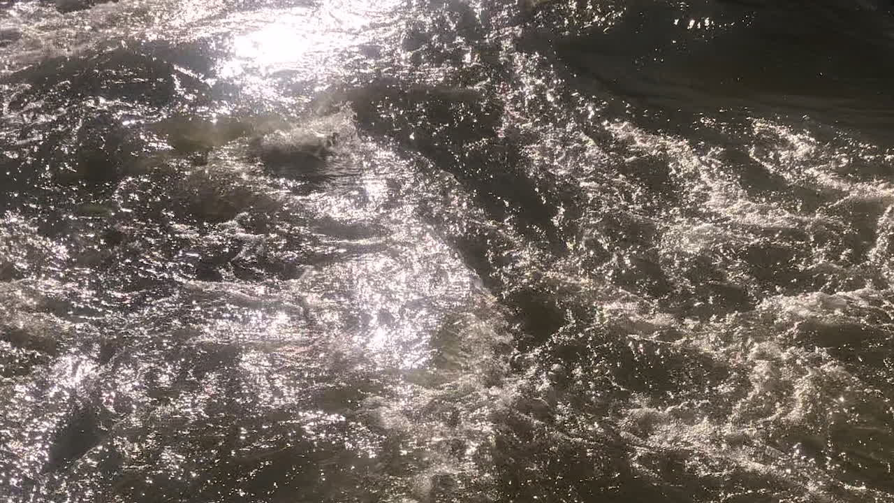 천연 강에 흐르는 강력한 물, 긴 비디오를 가까이에서 볼 수 있습니다.