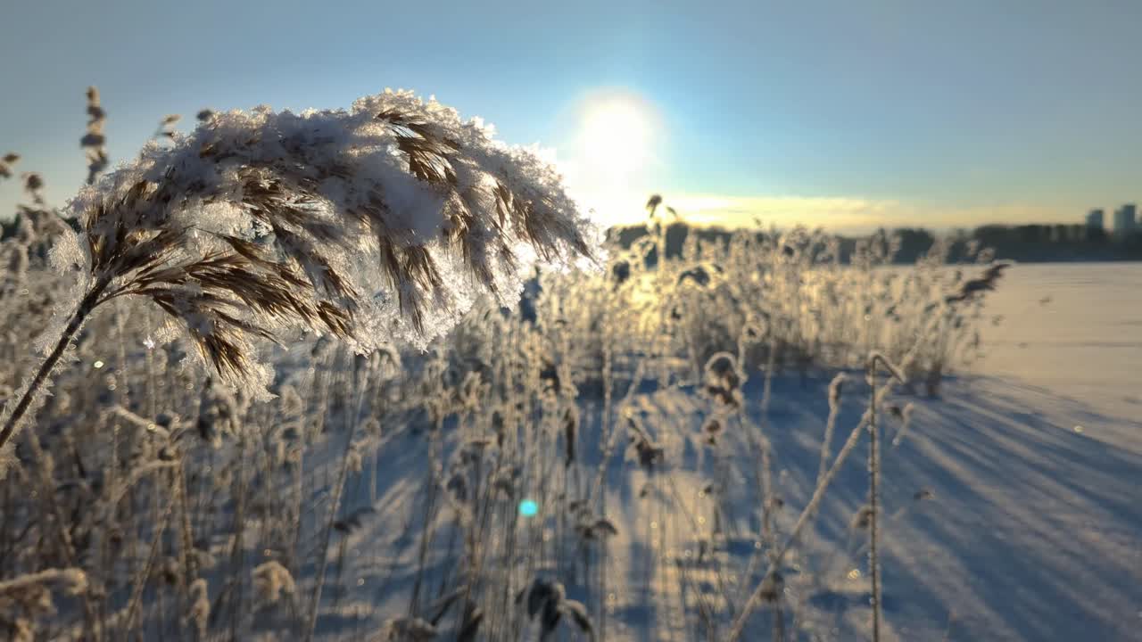 Vakkert frossent hav vinterlandskap, solnedgang vinterøyeblikk