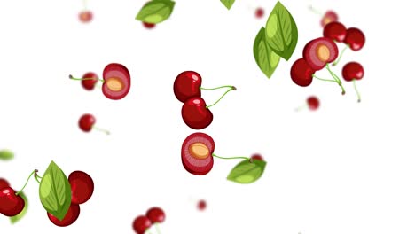 cherries and leaves cascade against a white background