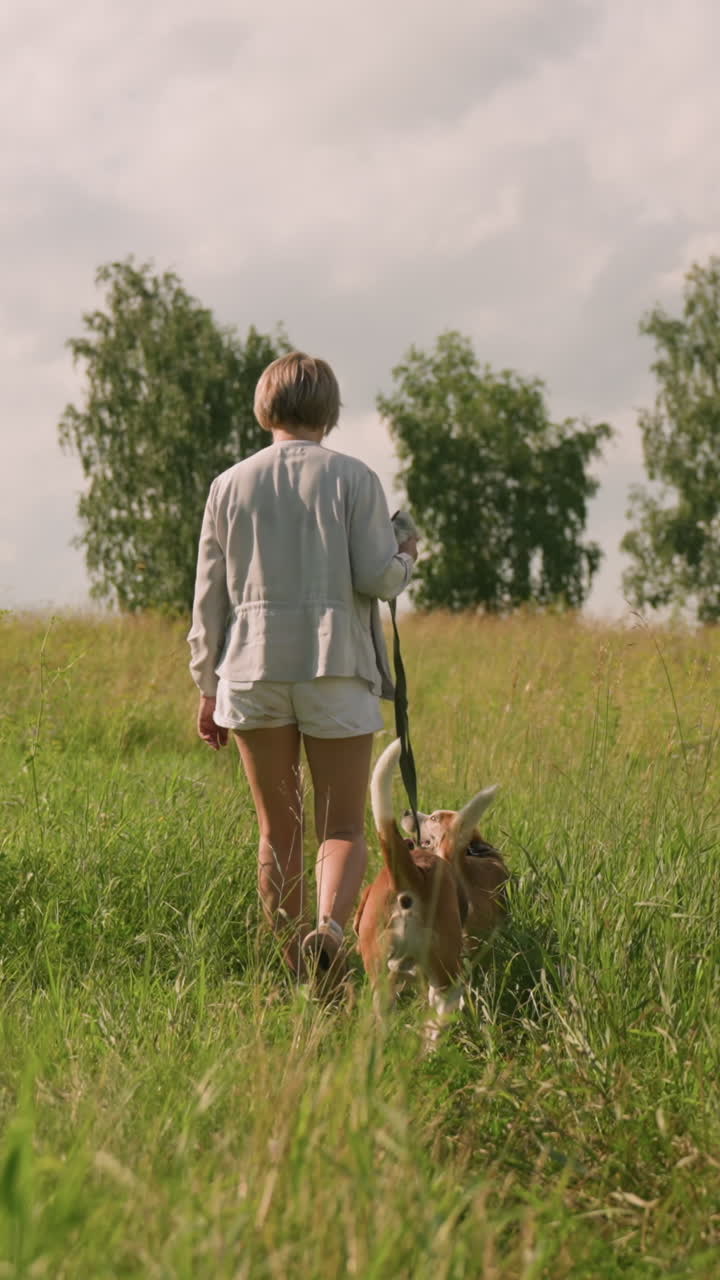 dueño del perro caminando con su perro en la correa mientras que el segundo perro sigue detrás en el campo cubierto de hierba bajo un cielo despejado en un día soleado, un paseo pacífico en la naturaleza con hierba verde vibrante y árboles