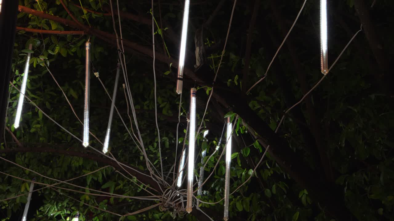 Instalação noturna de luzes natalinas com tubos de LED pendurados em uma árvore