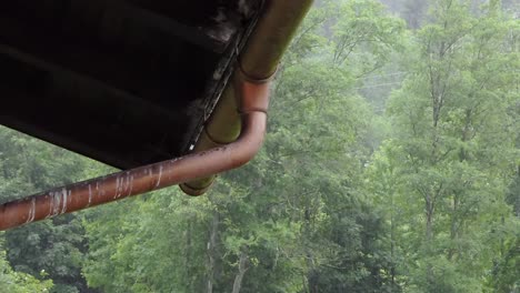 heavy rain on the roof and in the copper gutter with a copper rain pipe of a house in the forest