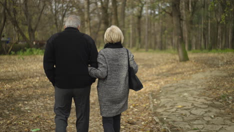 elderly couple walking in autumn park