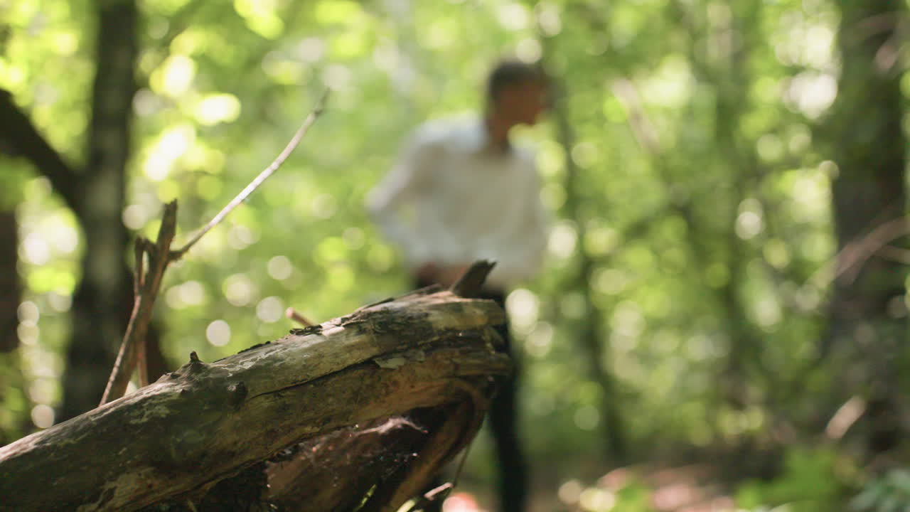 Blurred view of scientific researcher in white shirt and black trouser carrying backpack while observing trees in forest, surrounded by sunlight and greenery creating calm woodland atmosphere
