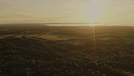 Wunderschöner-Goldener-Sonnenuntergang-über-Dem-Wald-Aus-Der-Vogelperspektive