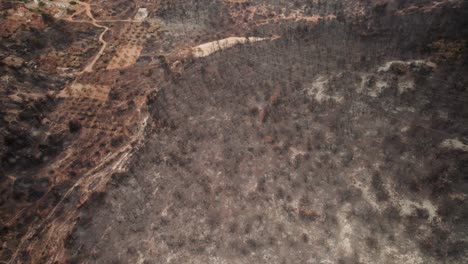 panorámica aérea sobre los restos de bosque quemado en parnitha, grecia, junto a los campos agrícolas