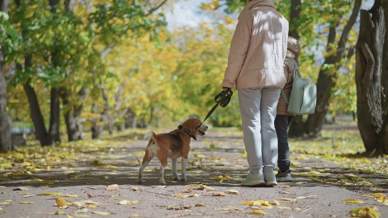 Adult stands with child and dog on leash under trees as dry leaves swirl in breeze on autumn path, creating dynamic and playful scene of family outing amid golden foliage and gentle wind