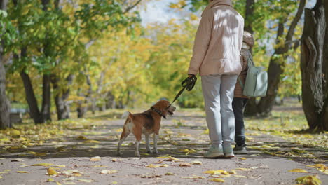 adult stands with child and dog on leash under trees as dry leaves swirl in breeze on autumn path, creating dynamic and playful scene of family outing amid golden foliage and gentle wind