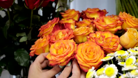 la mujer florista se ocupa de las flores arrancando pétalos de rosas secos, las manos de cerca.