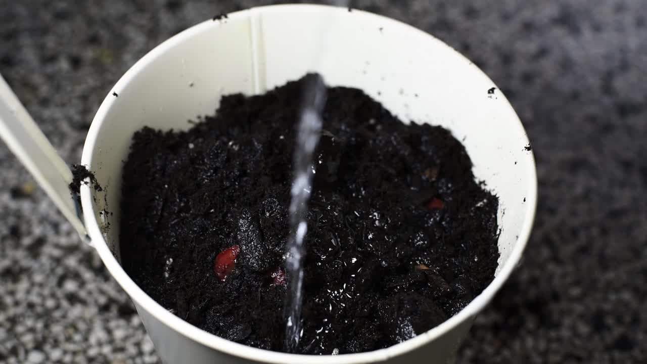 regar tierra para macetas en una maceta blanca