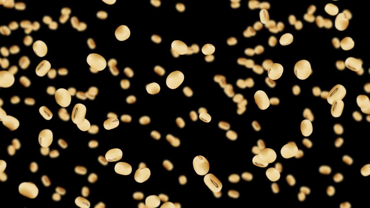 검은색 바탕에 많은 콩을 날아. 밝은 갈색 곡물. 콩과 콩. 건강한 음식. 회전하는 콩의 3d 루프 애니메이션.