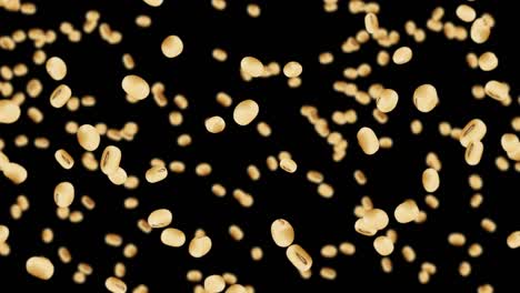 flying many soybeans on black background. light brown grains. soya bean and soja. healthy food. 3d loop animation of soy beans rotating.