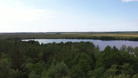 close tilt to down dronevideo lake to spuce trees