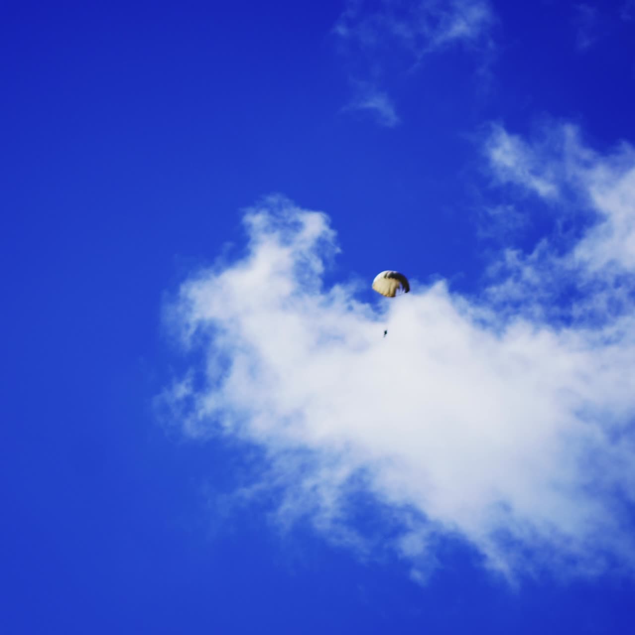 Parachute of black and white colors descending in the sky. Extreme sportsman, parachute jumping concept
