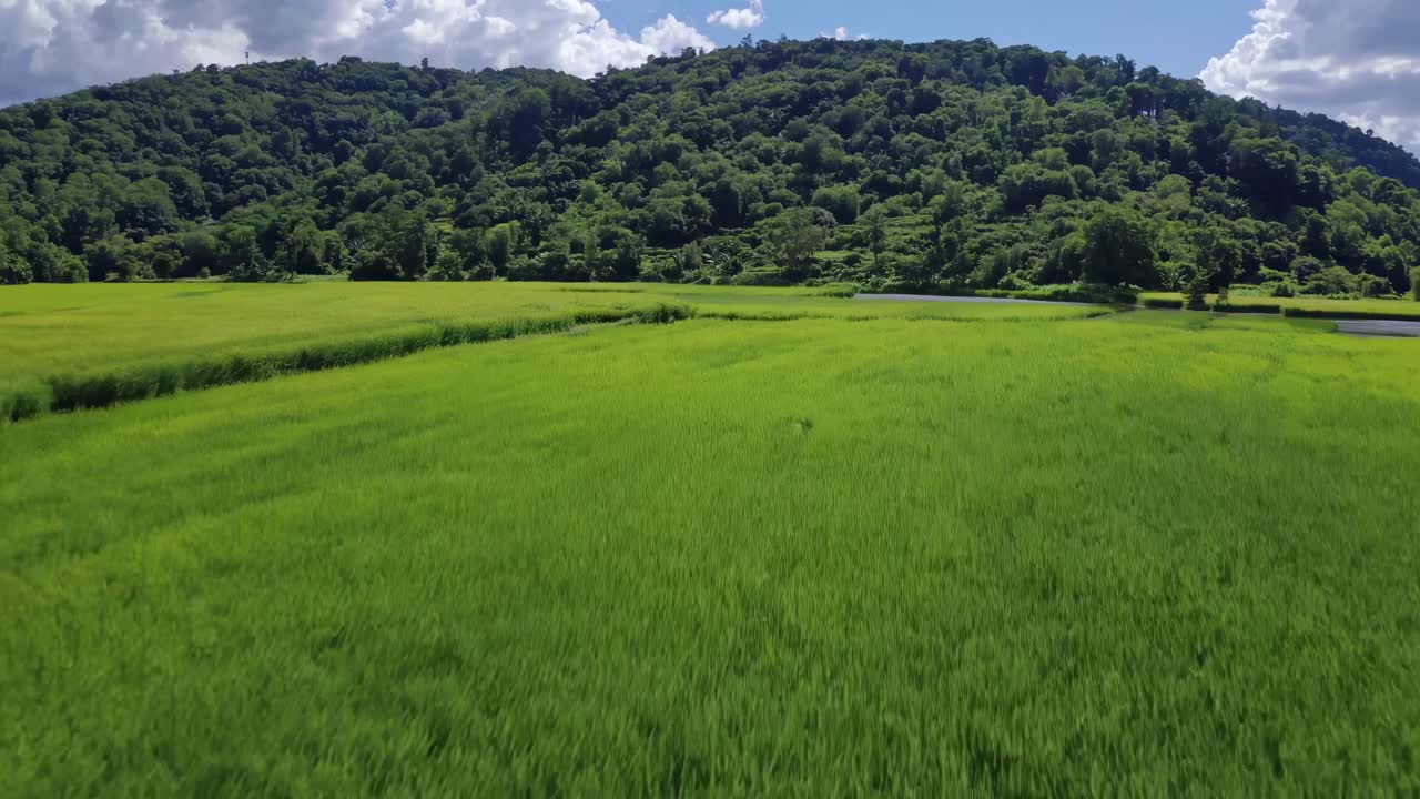 Aerial video captures lush green fields with rolling hills in the background, showcasing a serene