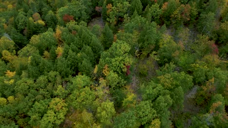 Paisaje-De-Campo-De-Bosque-Hermoso-De-Nueva-Inglaterra---Vista-De-Establecimiento-De-Drones-Aéreos