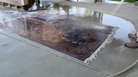 usando una manguera para rociar el jabón de una alfombra oriental recién limpiada