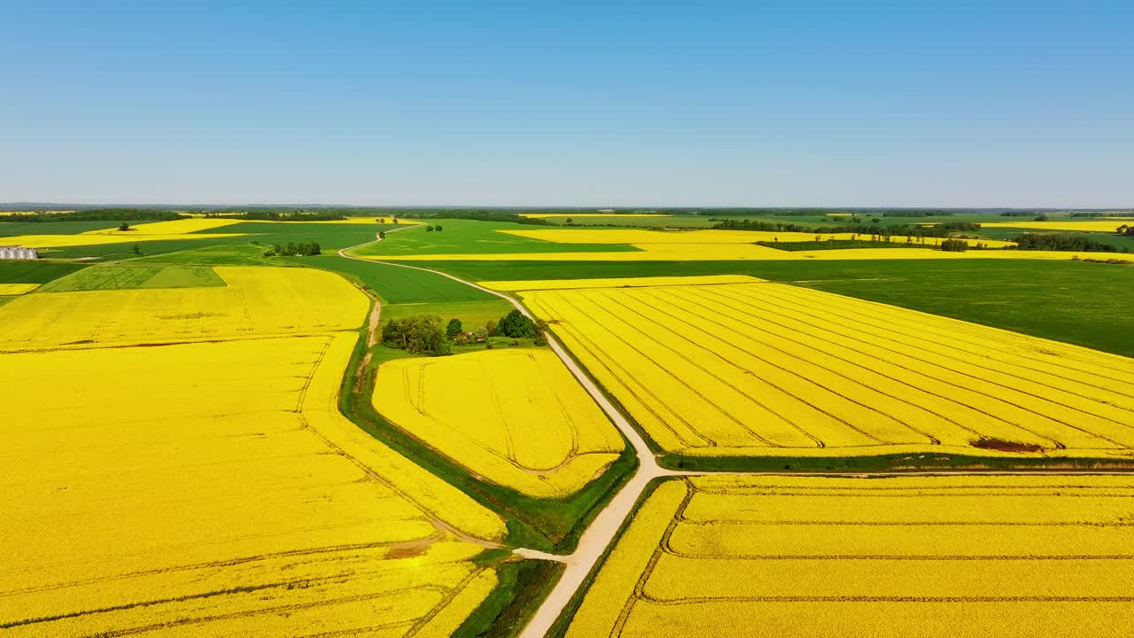 aerial, drone, rapeseed, canola, yellow fields, green fields, farmland, agriculture, countryside, rural landscape, spring, sunny day, blue sky, forward flight, straight movement, aerial view, bird's e