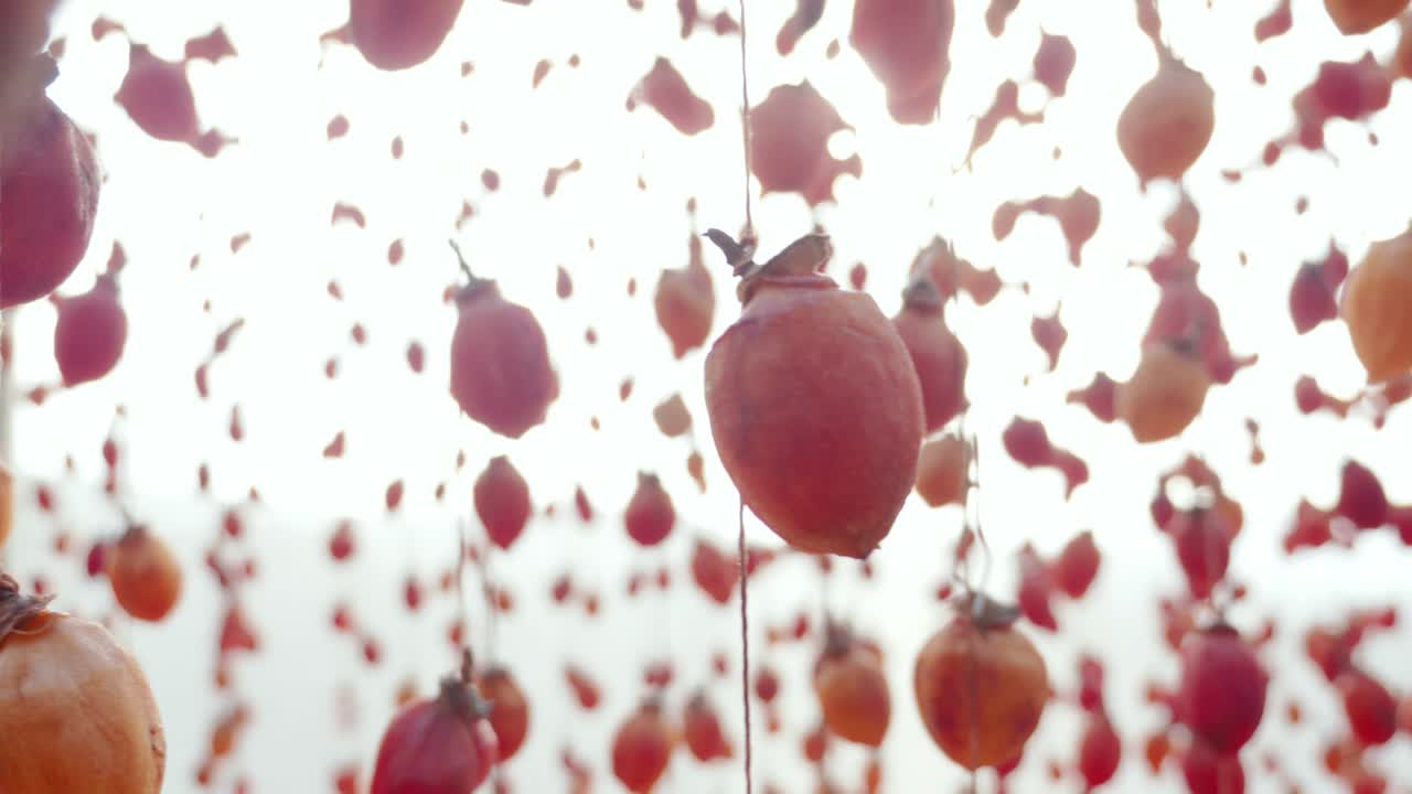 밝은 배경에 매달린 감 과일, 말린 감 일본 방법, 돌리 동작