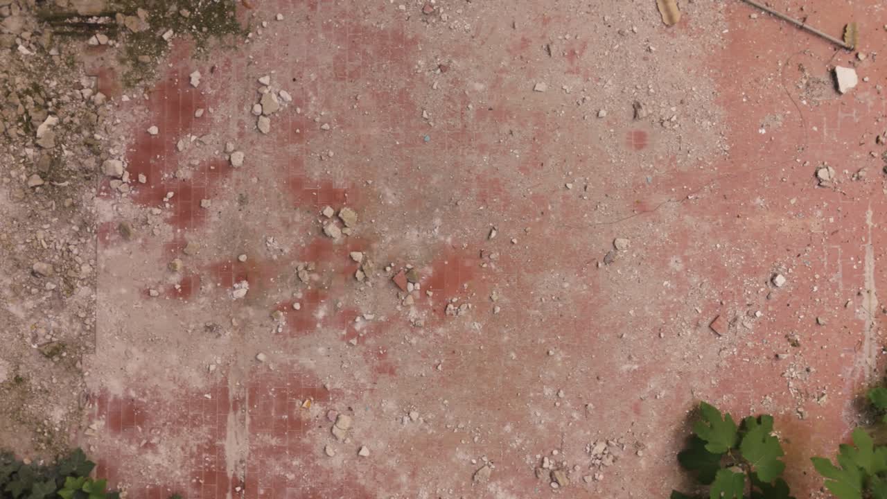 Overhead view of bricks and plants