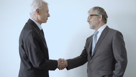 happy grey haired male business partners shaking hands and talking