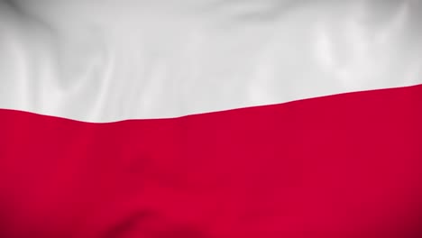 waving poland flag animation - 4k seamless loop.