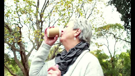 mujer mayor tomando café en el campo en un día de otoño