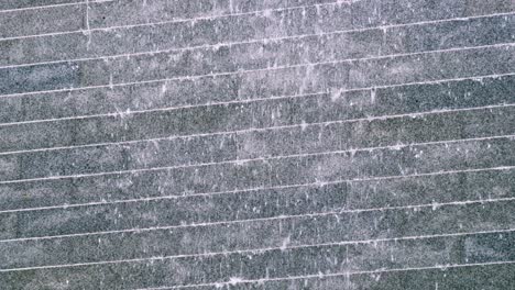 explore the intricate patterns of water on a surface showcasing nature's artistry in detail.