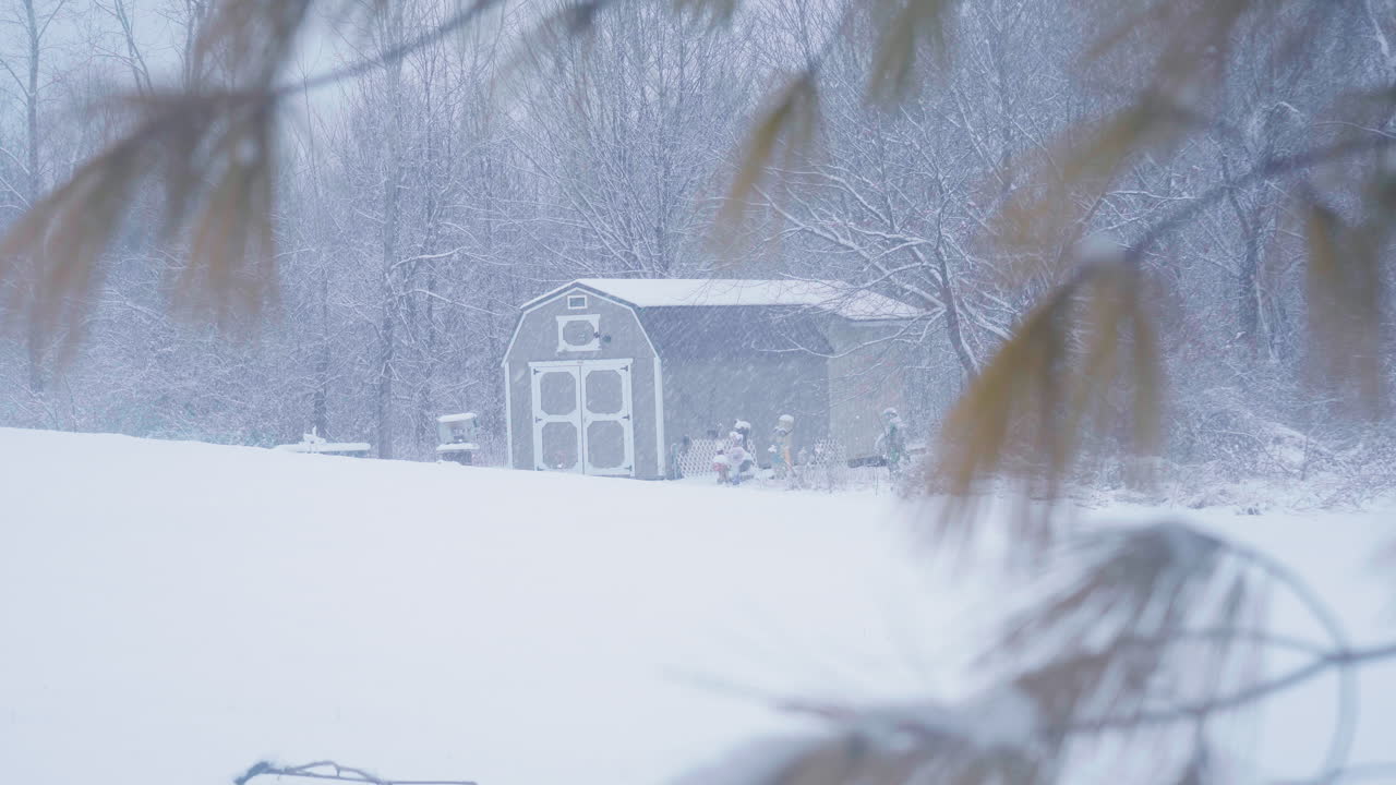 앞면에 흔들리는 소나무 바늘과 함께 많은 눈이 내리는 동안 멀리 나무와 함께 마당에 작은 창고 창고
