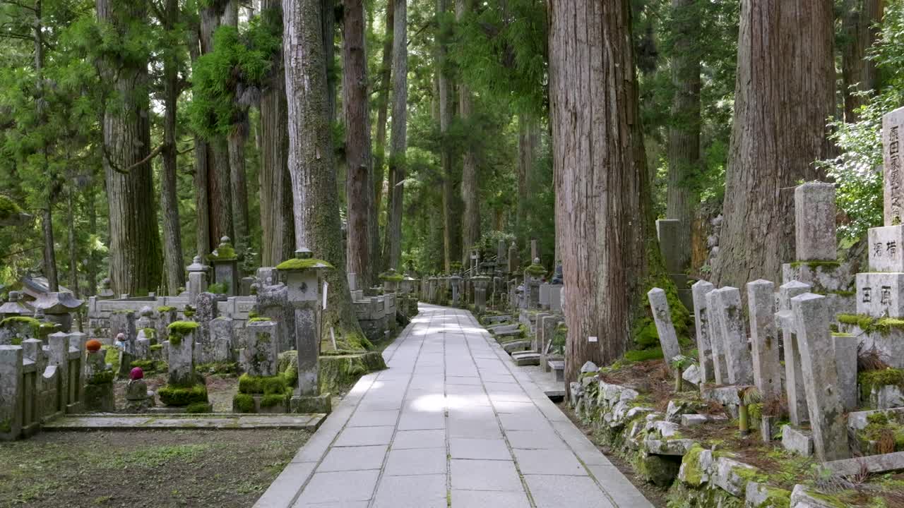 일본 의 코야 산 에 있는 아름다운 사원 들 을 걸어다니는 포브