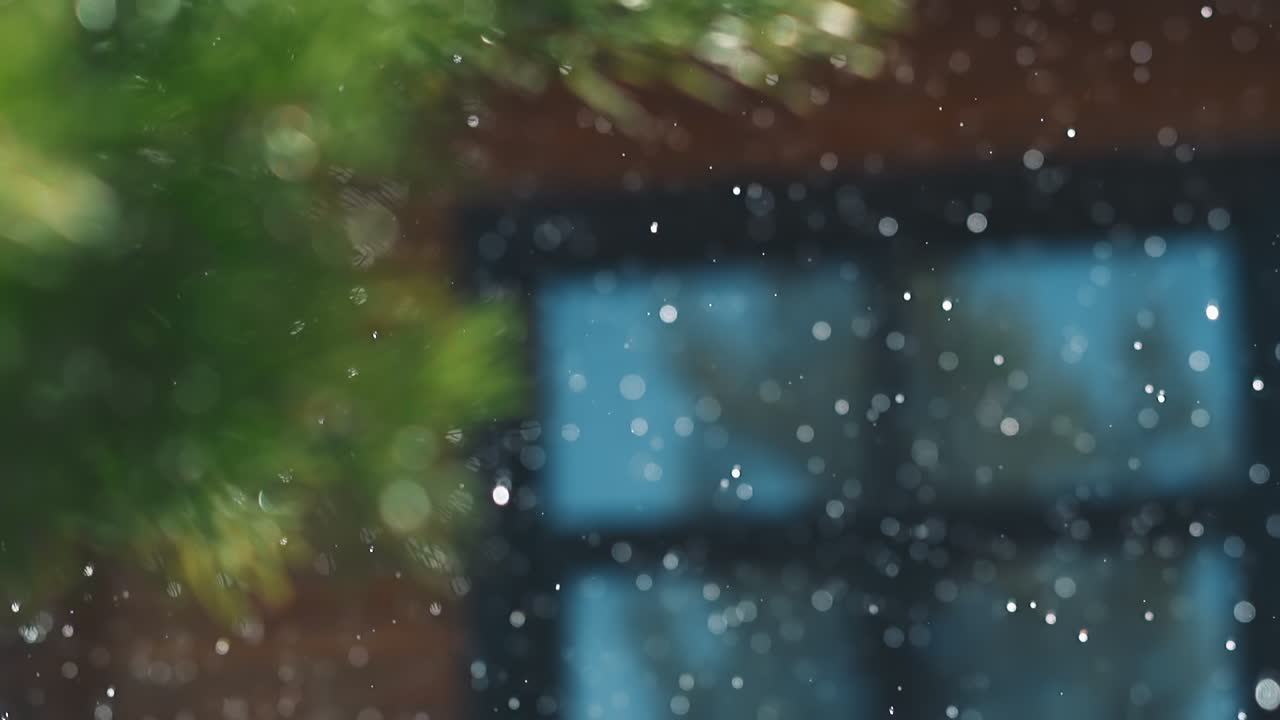 숲 2 에서 가 ⁇ 운 바람 에 흔들리는 소나무 가지 의 실루 ⁇