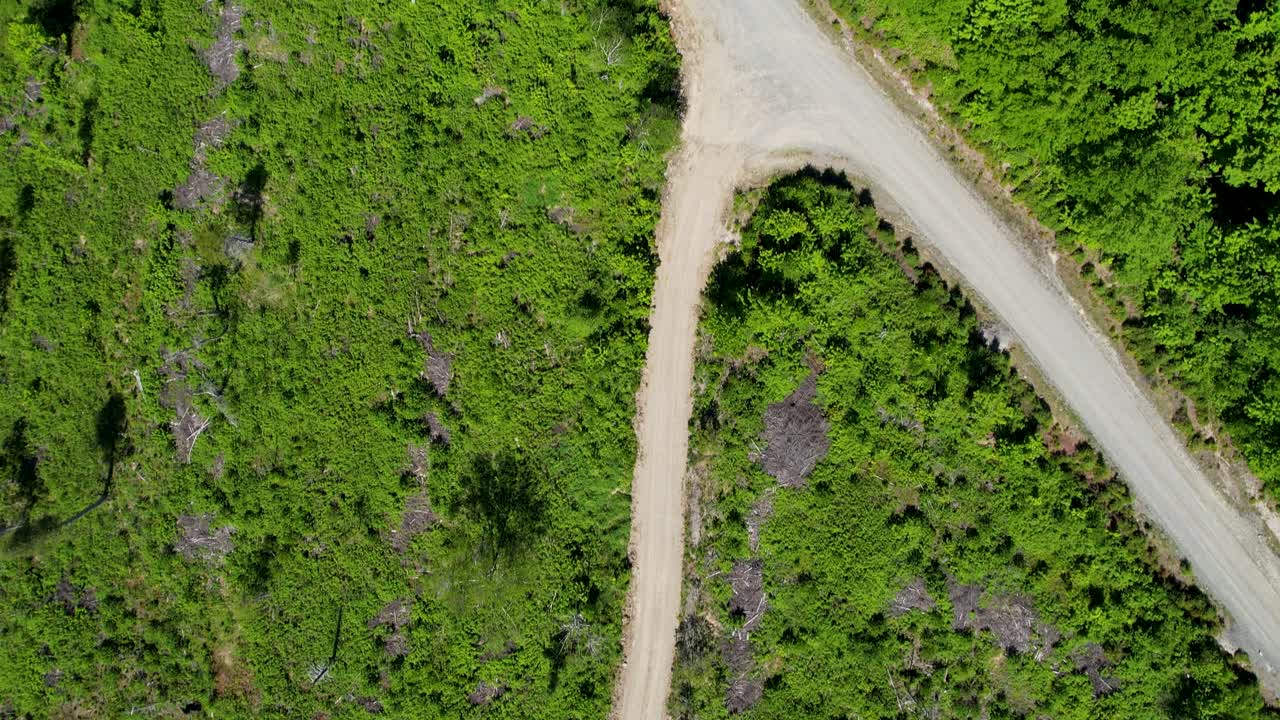 camino en las montañas de maine