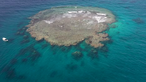 aerial drone shots of reef near jedaah,saudi arabia