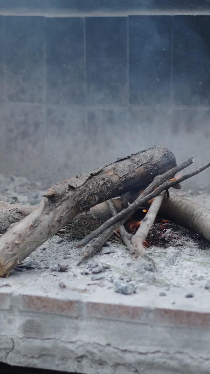 Burning wood in a fire