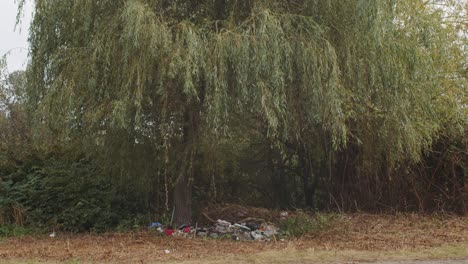 Trash-under-large-tree-in-John-Hendry-Park