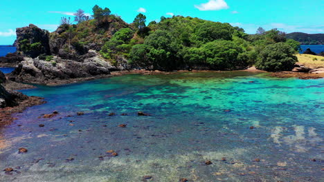 agua azul cristalina del lago en la isla de roberton con costa rocosa y árboles en la bahía de islas, nueva zelanda