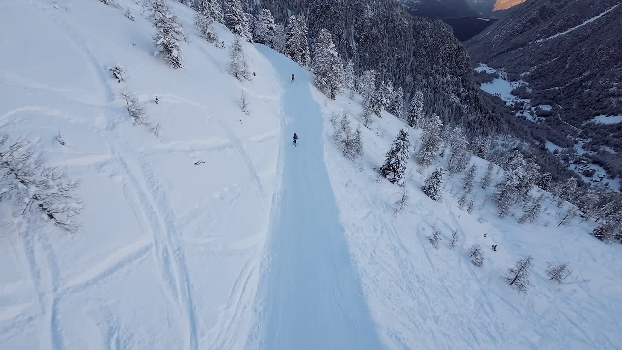 Drone tracking shot of two skiers in the Swiss mountains surrounded by tall pine trees