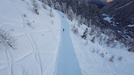 drone tracking shot of two skiers in the swiss mountains surrounded by tall pine trees