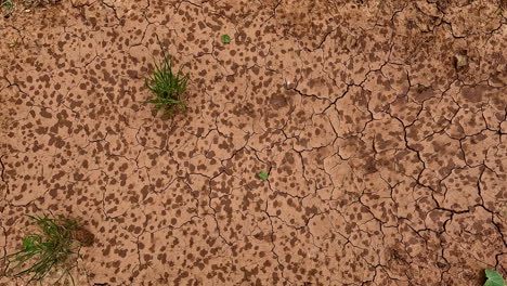 top down shot of raining in the dry at daytime