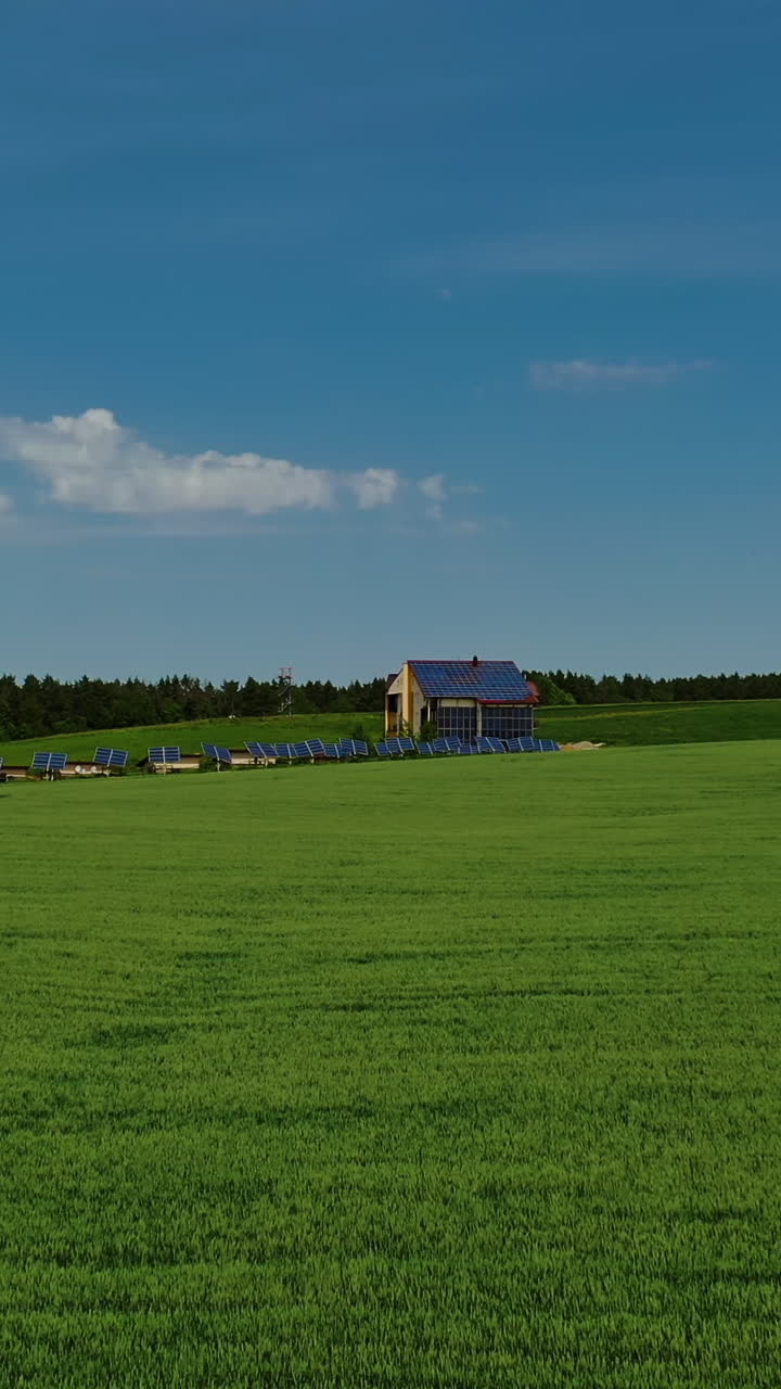 Solar farm on green field. Flying over the field of agricultural plants to the modern complex with many solar panels. Alternative energy. Aerial view. Vertical video