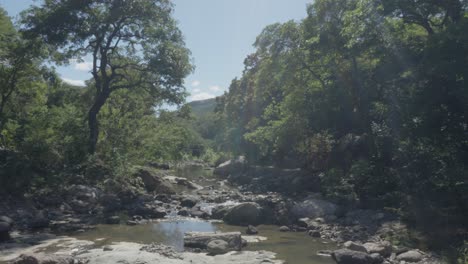 Dry-tropical-forest-in-southern-Honduras,-stream-crosses-rocky-landscape-with-leafy-trees