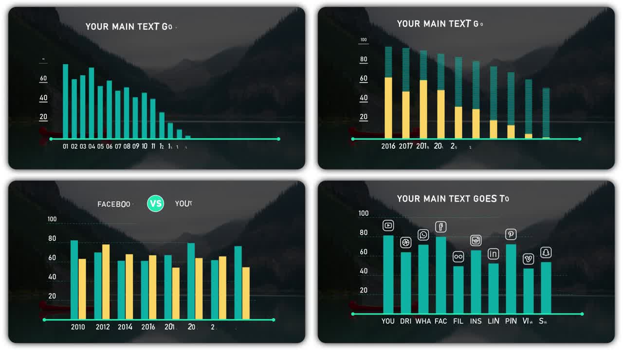 Data Visualization and Business Chart Analysis