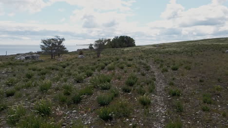 fast hyperlapse, rauk field gotland. walking along the cliff paths. sweeden