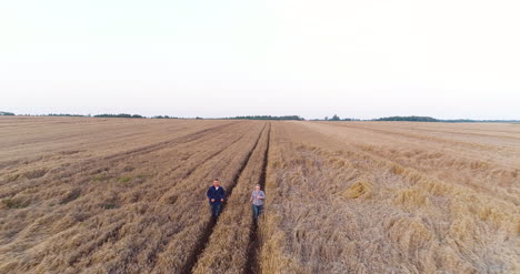 agriculture two farmers running at wheat field