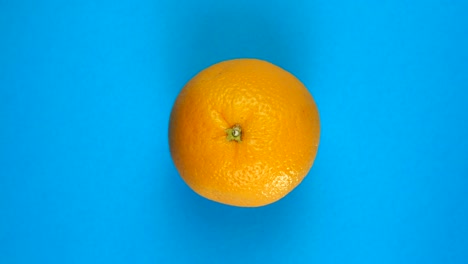 top view of slowly rotating orange on blue background isolated.