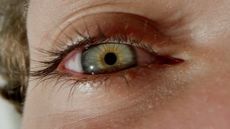 primer plano de un ojo humano