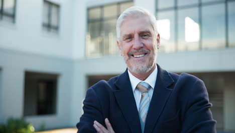 portrait of a smiling businessman