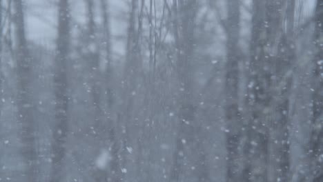 Copos-De-Nieve-Cayendo-A-Cámara-Lenta,-Vistos-A-Través-De-Los-Cristales-De-Las-Ventanas